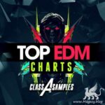 Top EDM Charts WAV MiDi-DiSCOVER