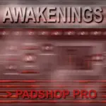 Awakenings PS For Padshop Pro