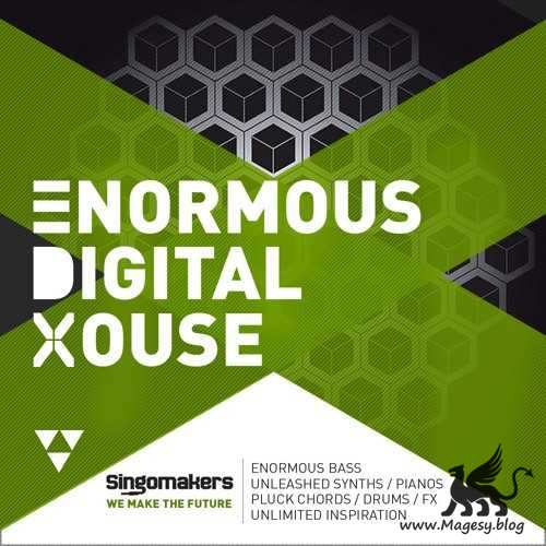 Enormous Digital House MULTiFORMAT