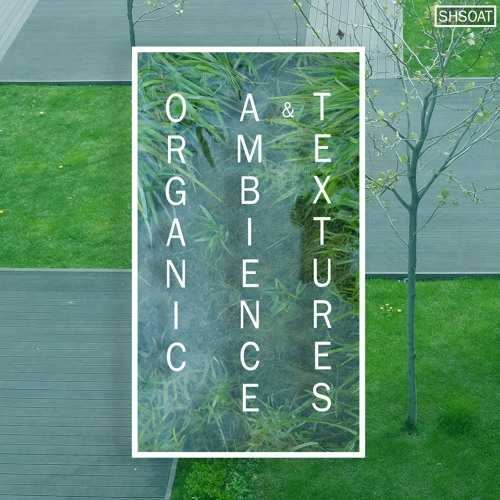 Organic Ambience and Textures WAV