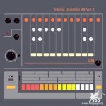 Samplephonics Trappy Dubstep WAV