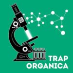 Trap Organica WAV