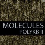 Molecules for PolyKB II EPKB