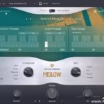 Virtual Bassist MELLOW v2.3.0 AAX VST3 VSTi x64 WiN-R2R