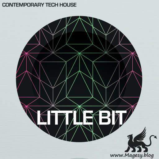 Contemporary Tech House WAV-DECiBEL