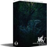 Before Dawn (Loop Pack) WAV