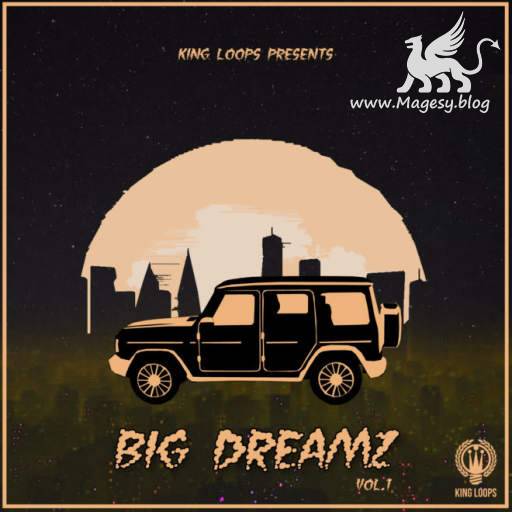 Big Dreamz Vol.1 WAV MiDi-DiSCOVER