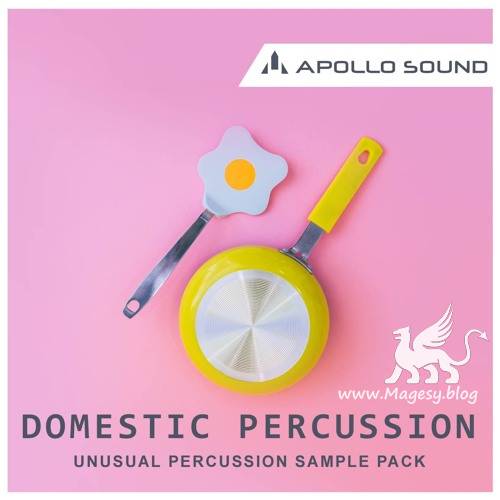 Domestic Percussion MULTiFORMAT