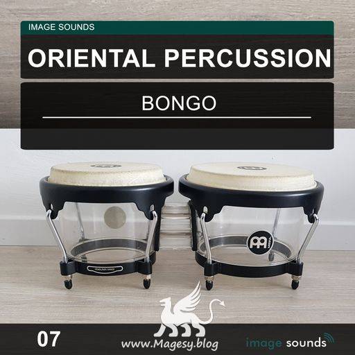 Oriental Percussion 07 WAV