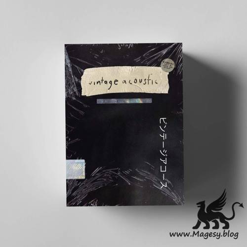 Vintage Guitar Samples Instrument WAV