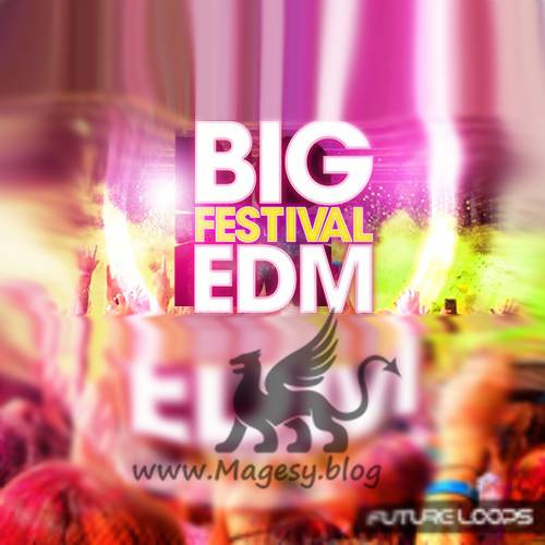 Big Festival EDM WAV MiDi