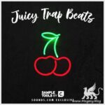 Juicy Trap Beats WAV-DECiBEL