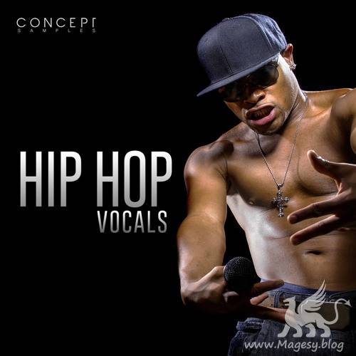 Hip Hop Vocals WAV-FLARE