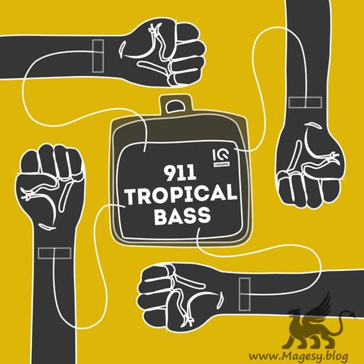 911 Tropical Bass WAV