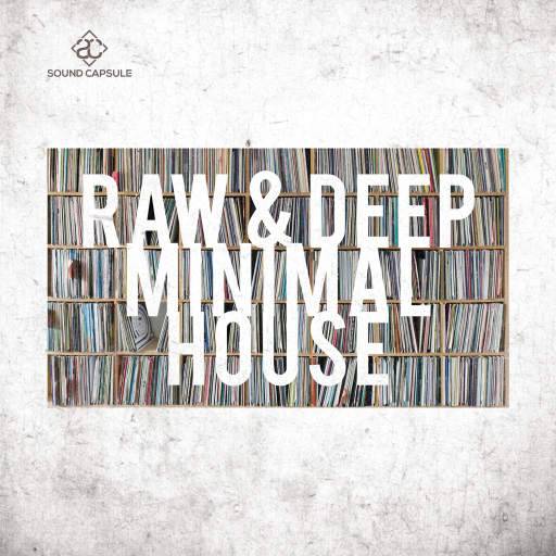 Raw And Deep Minimal House WAV