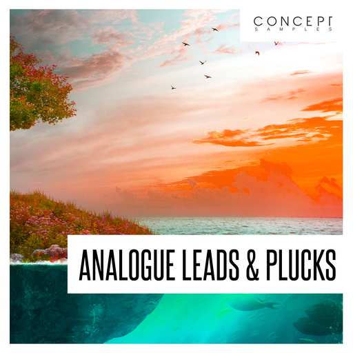 Analogue Leads And Plucks WAV-DECiBEL