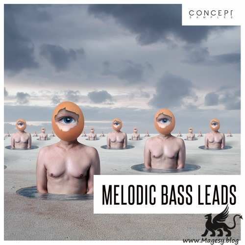 Melodic Bass Leads WAV-DECiBEL