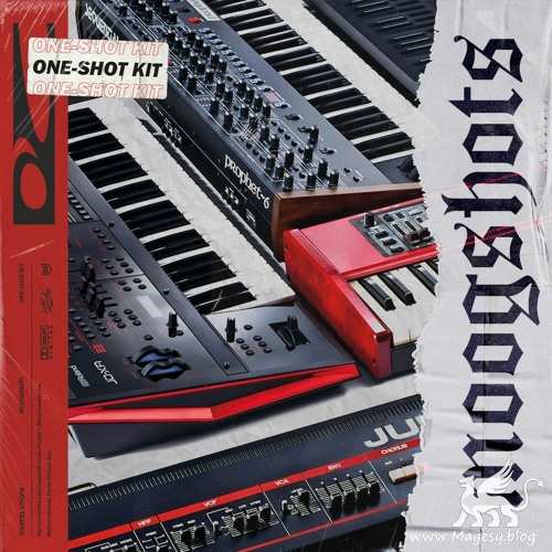 Moog Shots WAV-DECiBEL