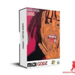Trippie Redd Type MiDi Kit WAV