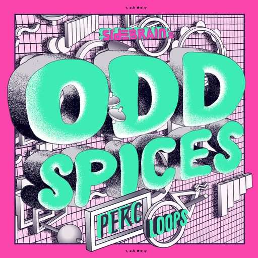 ODD SPICES Percussion Loops WAV