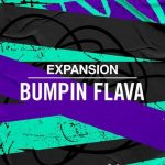 Bumpin Flava EXPANSiON HYBRiD-DECiBEL