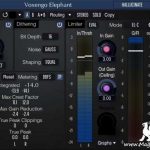 Elephant v5.5 AU VST2 VST3 U2B macOS-MORiA