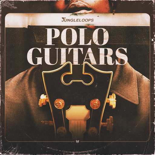 Polo Guitars WAV-DECiBEL