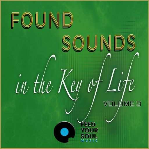 Sounds in The Key of Life WAV