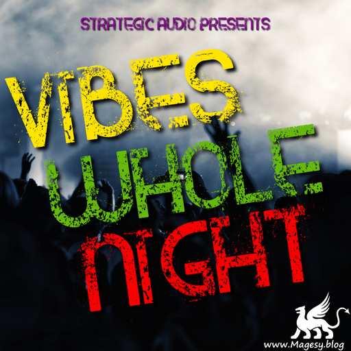 Vibes Whole Night WAV-DISCOVER