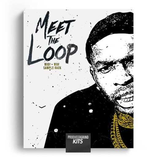 Meet The Loop WAV MiDi-FANTASTiC