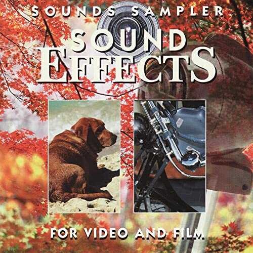 Sounds Sampler Sound Effects MP3