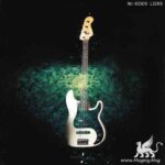 Nu-Disco Licks WAV-FANTASTiC