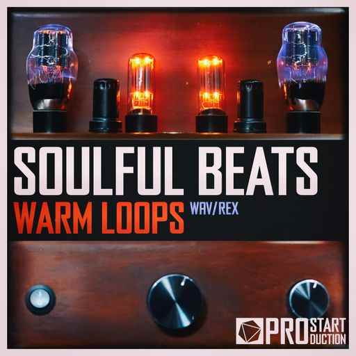 Soulful Beats: Warm Loops WAV-FANTASTiC