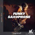 Funky Saxophone WAV