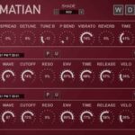 Dalmatian KONTAKT