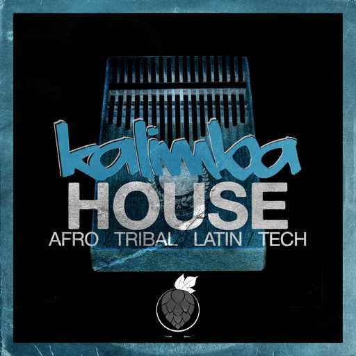 Kalimba House WAV-FANTASTiC