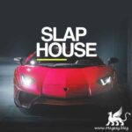 Whitenoise Records Slap House WAV-FANTASTiC