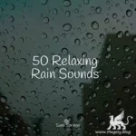 50 Soothing Winter Rain Sounds FLAC
