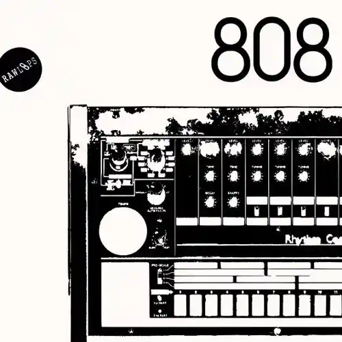 RAW 808 Drum Hits WAV-FANTASTiC