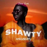 SHAWTY: Afrobeats WAV-FANTASTiC