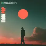 Indie Pop MULTiFORMAT-FANTASTiC