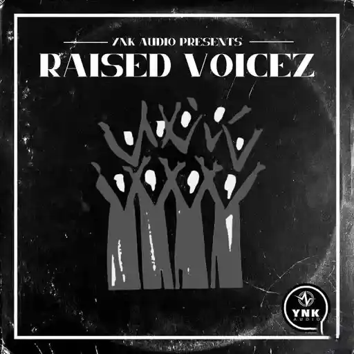 Ynk Audio Raised Voicez Wav Fantastic Magesy