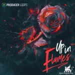 Up In Flames MULTiFORMAT