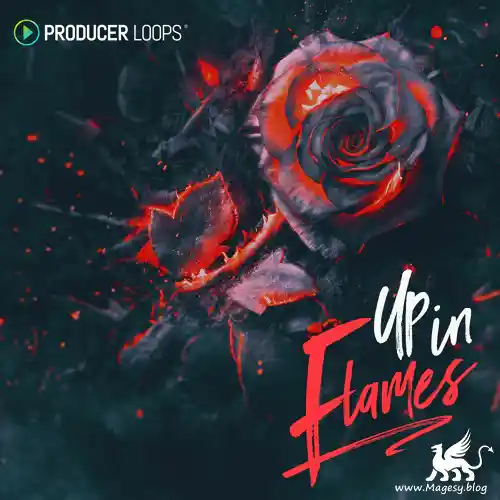 Up In Flames Multiformat Magesy