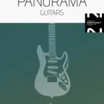 Panorama Guitars KONTAKT