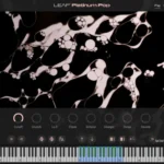 Leap Platinum Pop v1.0.0 KONTAKT 8-HiDERA