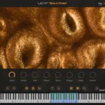 Soul Gold KONTAKT 8-FANTASTiC
