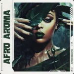 Afro Aroma WAV MiDi-FANTASTiC