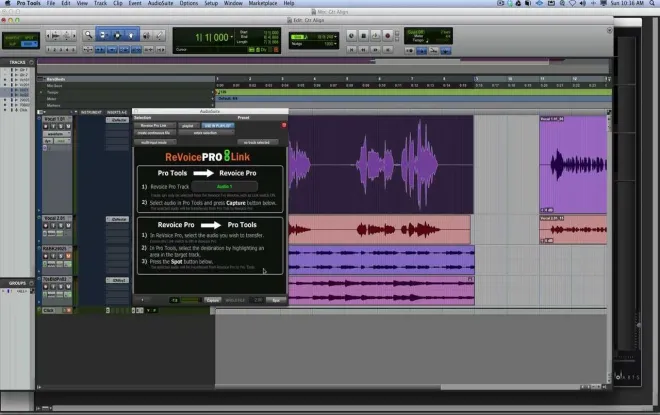 Video preview