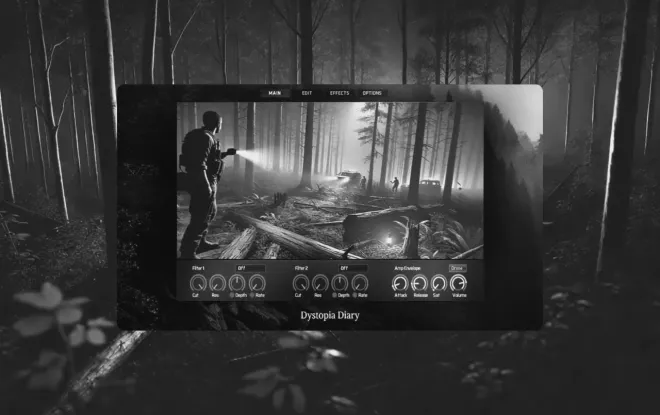 Video preview